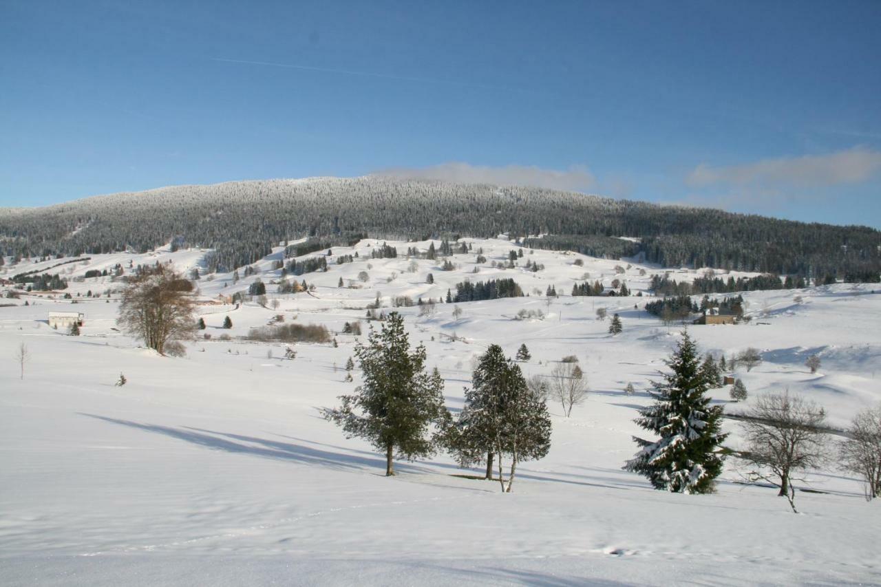 Septmoncel-Les-Molunes Au Coeur Du Lapidaire المظهر الخارجي الصورة