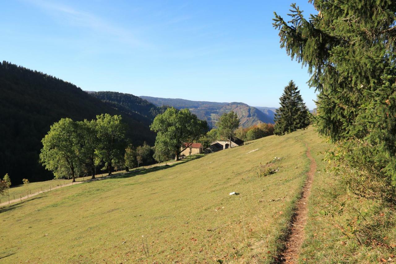 Septmoncel-Les-Molunes Au Coeur Du Lapidaire المظهر الخارجي الصورة